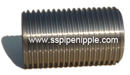 DIN2999 steel pipe fitting full male connection pipe nipple